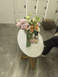 -藤野造型