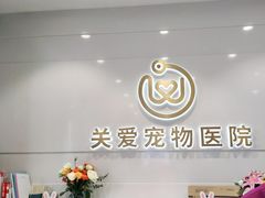 -关爱宠物医院·猫科中心·消化科(滨湖万达分院)