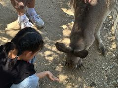 -费瑟代尔野生动物园