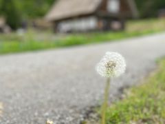 -白川乡与五箇山的合掌构造村落