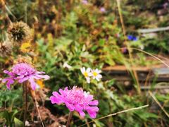 -白草畔自然风景区