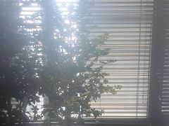 -华夏良子·足道SPA艾灸(金皇大厦店)