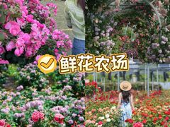-栖露营camping·天幕烧烤·团建拓展·采摘营地
