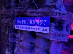 -水木谷养生水汇