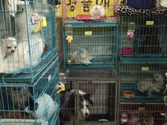 -酷狗靓猫宠物·洗护·美容·寄养(航北路店)