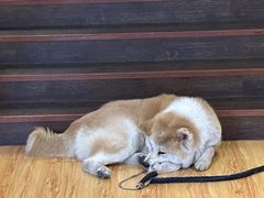 -YCHL Studios健身工作室(市二宫店)