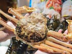 松叶蟹-丰卓会海鲜自助(中润大道店)