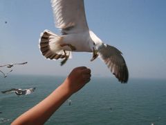 -仁川港国际客运码头