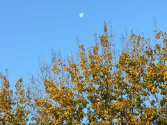 -北京国家会计学院