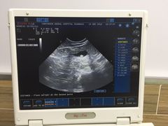 -爱侣宠医·鹦鹉专科·小型哺乳类·异宠专科(灵石路店)