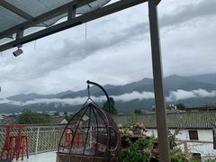 -喵屿·大理花园猫咖