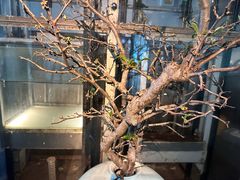 -穹六人间 people 6(岳阳路店)
