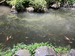 -灵隐飞来峰景区