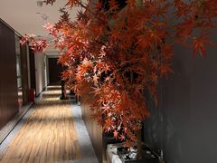 -三谷里·生态水疗空间(五一店)