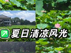 -荔湾湖公园