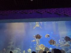 -梦幻海洋王国(吾悦广场张家港店)