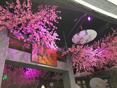 -韵秋荷(宝山龙湖天街店)