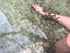 -春晖园度假酒店温泉