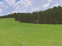 -迪茵湖田家舍生态农场