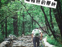 -阳台山自然风景区