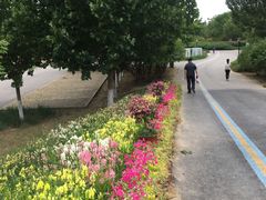 -永定河休闲森林公园