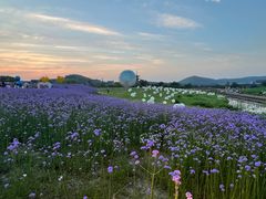 -广富林郊野公园