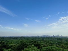 -南京老山国家森林公园