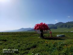 -新疆那拉提国家旅游度假区