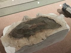 -元代水闸遗址博物馆