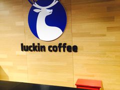 -luckincoffee瑞幸咖啡(顺义华联商厦店)