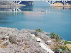 -广州市流溪河国家森林公园