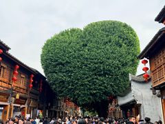 -三坊七巷历史文化街区