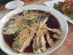-煲来饱去冷水鱼