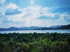 -湖畔居茶楼(湖滨店)