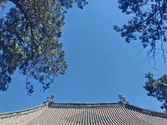 -关林