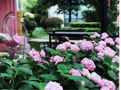 -灯塔咖啡馆BOOK·Coffee Shop
