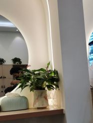 -妍理·植物养发