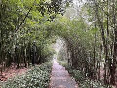 -潜山国家森林公园