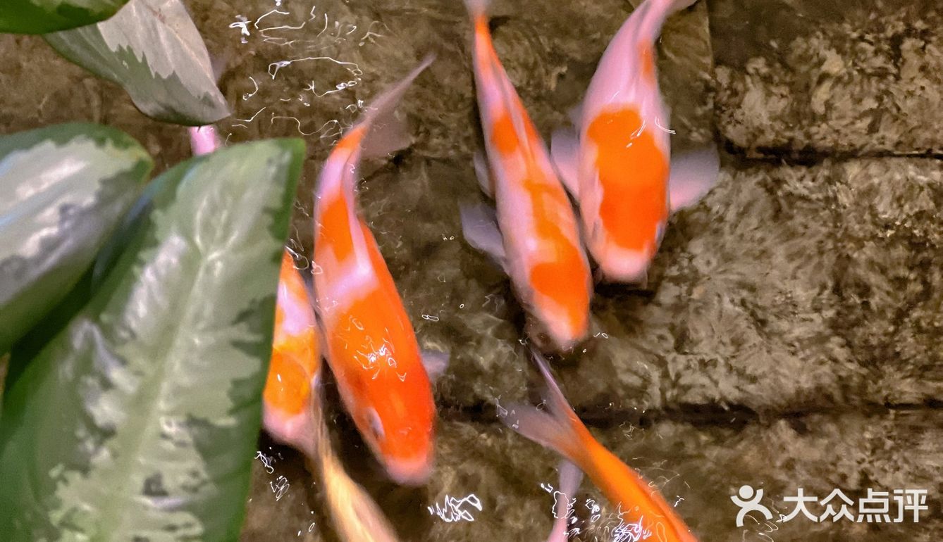 佛山新派粤菜佼佼者｜岁丰酒楼