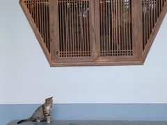 -龙华寺