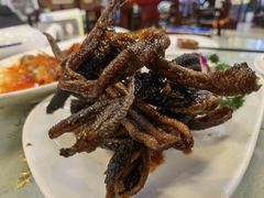 -新聚丰菜馆(太监弄店)