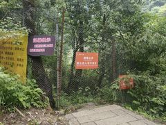 -西岭雪山大飞水景区