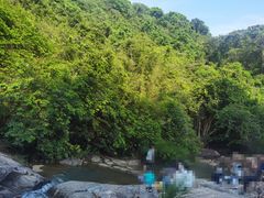 -广州白江湖森林公园