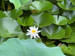 -白塘生态植物园