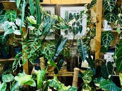 -Rabbit Cafe私房西餐甜点咖啡(栖霞路店)