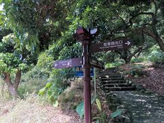 -大屏嶂森林公园