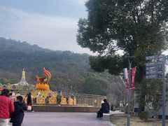 -无锡动物园·太湖欢乐园