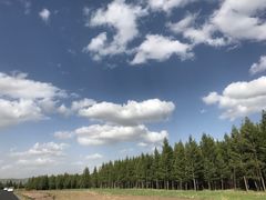 -塞罕坝国家级自然保护区