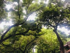 -北京国子监胡同