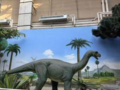 -国家自然博物馆